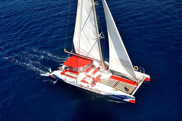 catamaran white tenerife