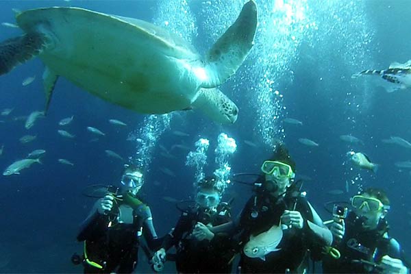 Bautizo de buceo en Tenerife Bautizo de buceo en Tenerife