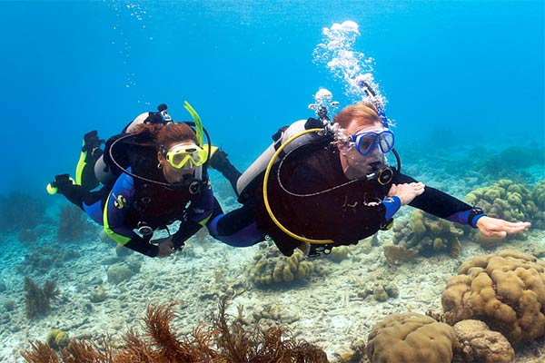 Bautizo de buceo en Tenerife Bautizo de buceo en Tenerife